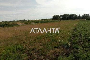 Ділянка за адресою вул. Шкільна (площа 15 сот) - Atlanta.ua - фото 7