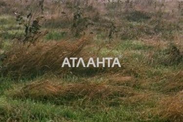 Landplot by the address st. Limannaya (area 8,0 acr) - Atlanta.ua - photo 3