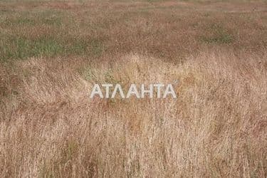 Landplot by the address st. Radostnaya (area 10 acr) - Atlanta.ua - photo 5