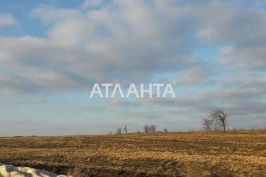 Участок по адресу ул. Полевая (площадь 10 сот) - Atlanta.ua - фото 7