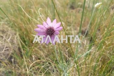 Ділянка за адресою вул. Широка (площа 15 сот) - Atlanta.ua - фото 3