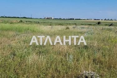 Landplot by the address st. Stepovaya (area 10 acr) - Atlanta.ua - photo 15