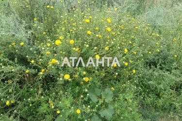 Landplot by the address st. Shevchenko (area 10 acr) - Atlanta.ua - photo 6