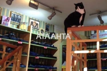 Коммерческая недвижимость по адресу ул. Большая арнаутская (площадь 165 м²) - Atlanta.ua - фото 18