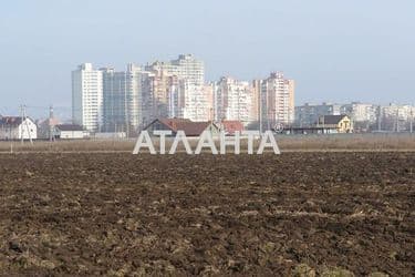 Участок по адресу ул. Зеленая (площадь 10 сот) - Atlanta.ua - фото 5