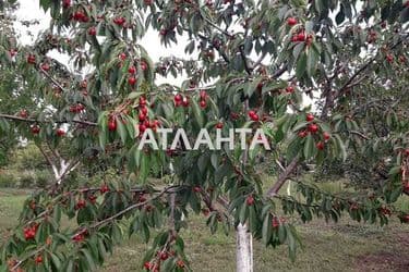 Landplot by the address st. Lazurnaya (area 15 acr) - Atlanta.ua - photo 4