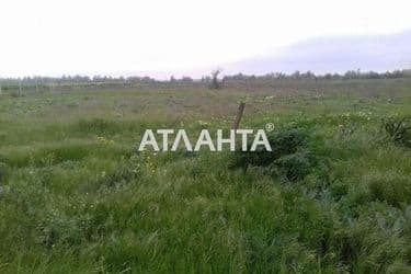 Участок по адресу ул. Центральная (площадь 10,6 сот) - Atlanta.ua - фото 7