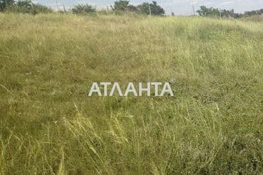 Участок (площадь 10 сот) - Atlanta.ua - фото 3