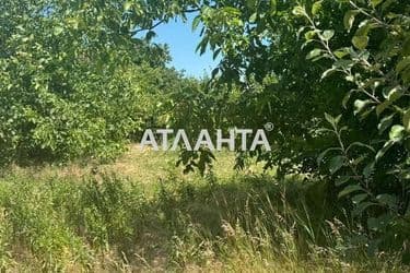 Landplot by the address st. Massiv 11 (area 6 acr) - Atlanta.ua - photo 8