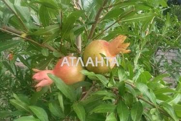 Будинок за адресою (площа 160 м²) - Atlanta.ua - фото 25