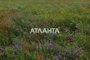 Landplot by the address st. Morskaya (area 15 acr) - Atlanta.ua - photo 3