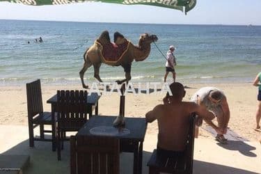 Commercial real estate at st. Kurortnyy pr (area 270 m²) - Atlanta.ua - photo 35