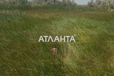 Landplot by the address st. Vokzalnaya (area 5 acr) - Atlanta.ua - photo 6