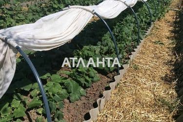 Дом по адресу ул. Победы (площадь 307,3 м²) - Atlanta.ua - фото 32