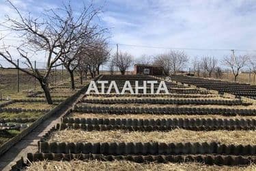 Дом по адресу ул. Победы (площадь 307,3 м²) - Atlanta.ua - фото 51