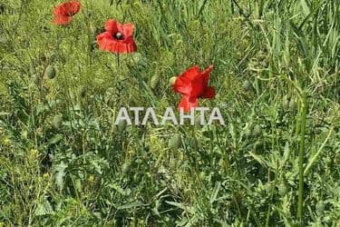 Landplot by the address st. Massiv 21 (area 4,6 acr) - Atlanta.ua - photo 9