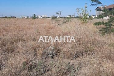 Участок по адресу ул. Зеленая (площадь 10 сот) - Atlanta.ua - фото 9