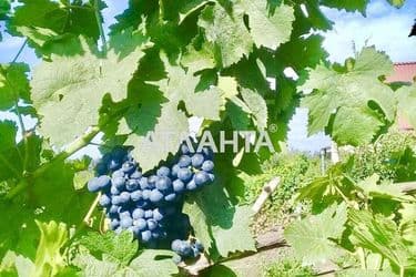 Landplot by the address st. 4 ya liniya (area 6,2 acr) - Atlanta.ua - photo 6