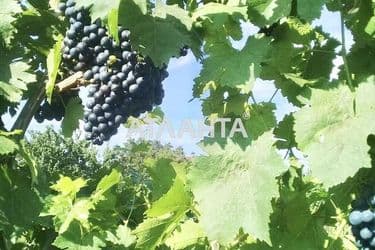 Landplot by the address st. 4 ya liniya (area 6,2 acr) - Atlanta.ua - photo 8