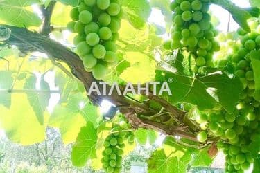 Landplot by the address st. 4 ya liniya (area 6,2 acr) - Atlanta.ua - photo 9