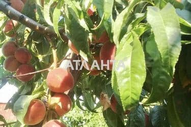 Landplot by the address st. 4 ya liniya (area 6,2 acr) - Atlanta.ua - photo 10