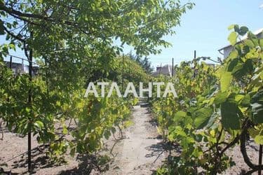 Дача за адресою (площа 20 м²) - Atlanta.ua - фото 17