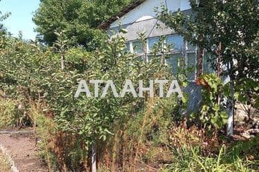 Dacha (area 30 m²) - Atlanta.ua - photo 18