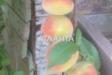 Участок по адресу ул. Зеленая (площадь 5,3 сот) - Atlanta.ua - фото 7