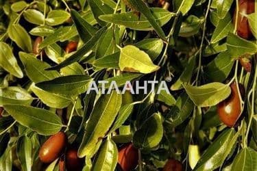 Дом (площадь 210 м²) - Atlanta.ua - фото 22