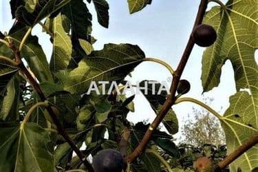 Дом (площадь 210 м²) - Atlanta.ua - фото 23