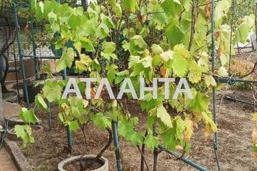 Дача (площа 130,9 м²) - Atlanta.ua - фото 43