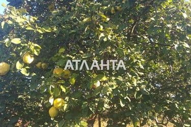 Дом по адресу ул. Полевая (площадь 61 м²) - Atlanta.ua - фото 13