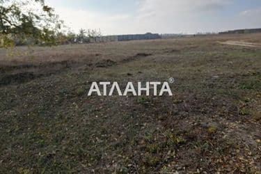 Landplot by the address st. Novoselov (area 19 acr) - Atlanta.ua - photo 20