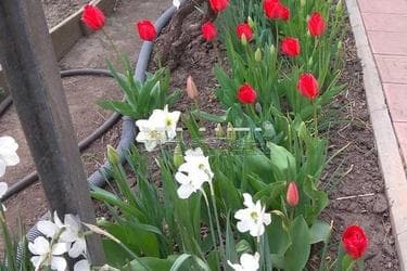 Дом по адресу ул. 3-я линия (площадь 168 м²) - Atlanta.ua - фото 46