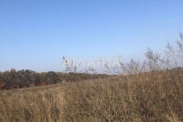 Landplot by the address st. Shkolnaya (area 6,6 acr) - Atlanta.ua - photo 5