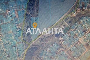 Landplot by the address (area 200 acr) - Atlanta.ua - photo 6