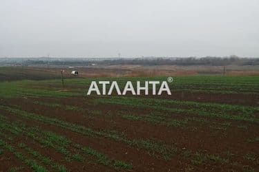Ділянка за адресою вул. Масив №24 (площа 10 сот) - Atlanta.ua - фото 9
