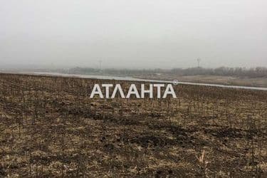 Ділянка за адресою вул. Масив №24 (площа 10 сот) - Atlanta.ua - фото 11