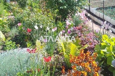 House (area 75 m²) - Atlanta.ua - photo 30