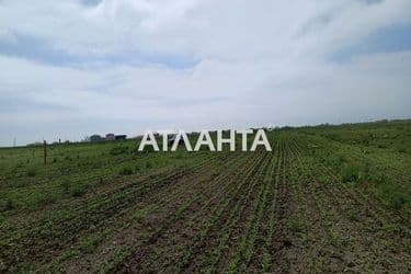 Landplot by the address (area 10 acr) - Atlanta.ua - photo 12