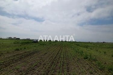 Landplot by the address (area 10 acr) - Atlanta.ua - photo 13