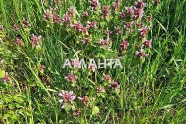 Landplot by the address st. Massiv 23 (area 16,0 acr) - Atlanta.ua - photo 3