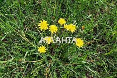 Landplot by the address st. Massiv 23 (area 14,9 acr) - Atlanta.ua - photo 3