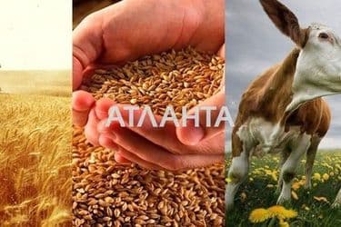 Landplot by the address st. Pole sotssfery 1 (area 100 acr) - Atlanta.ua - photo 9