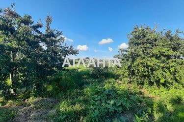 House (area 37,7 m²) - Atlanta.ua - photo 18