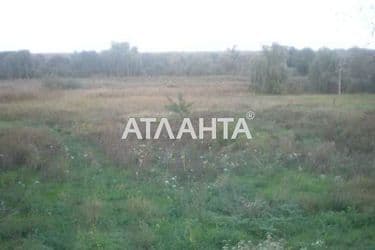 Landplot by the address st. Tikhaya (area 11,7 acr) - Atlanta.ua - photo 4