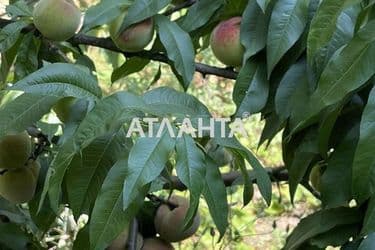 Ділянка за адресою вул. Землевпорядна (площа 6 сот) - Atlanta.ua - фото 13