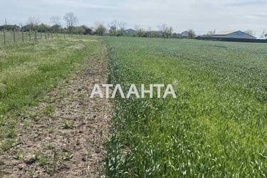 Landplot by the address st. Aleksandriyskaya (area 10 acr) - Atlanta.ua - photo 9