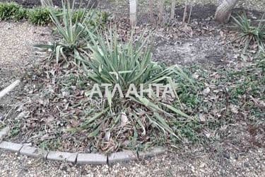 Дача (площадь 62 м²) - Atlanta.ua - фото 21