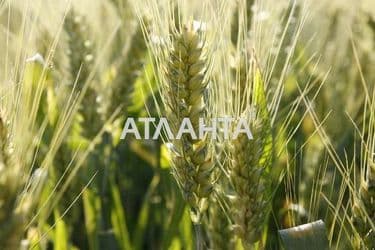 Landplot by the address (area 459 acr) - Atlanta.ua - photo 4